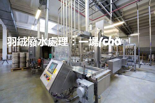 羽絨廢水處理：一場(chǎng)綠色環(huán)保的羽毛盛宴？